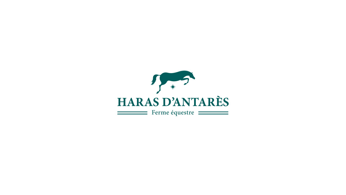 Haras d'Antarès Thierry Lo Shung Line résonance graphique